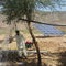 sistema solare di pompaggio dell'acqua di 4kw Pv/corredo alimentato solare della pompa idraulica per coltivare fornitore