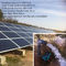 Corredo solare della pompa del pozzo trivellato/impianto di irrigazione basato solare con l'azionamento della pompa VFD di MPPT fornitore